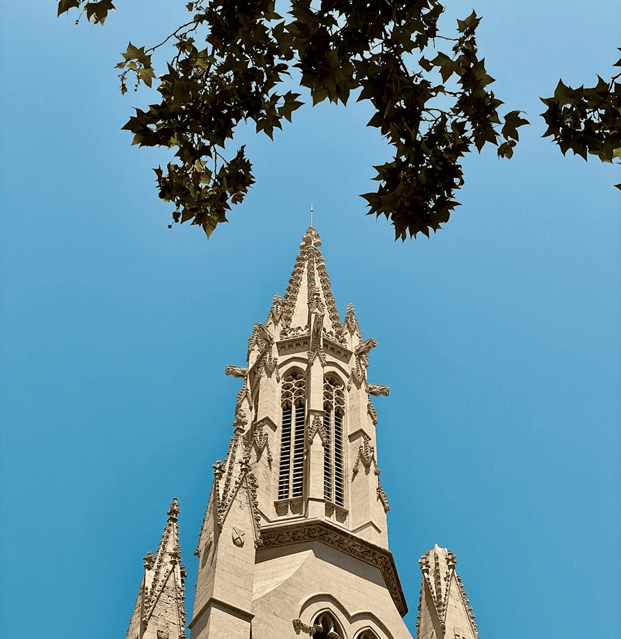 ¿Buscas un viaje culinario único? Palma es la respuesta