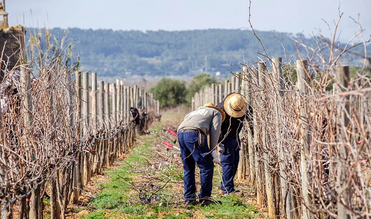 El arte mediterráneo de vivir: